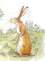 Ref 1 for Little Brown Rabbit